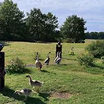 Domaine Equestre De La Chenaie *