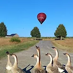 Domaine Equestre De La Chenaie *