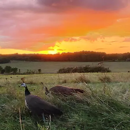 Domaine Equestre De La Chenaie *