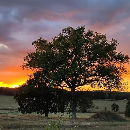 Domaine Equestre De La Chenaie * Saumur