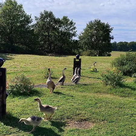 Domaine Equestre De La Chenaie *