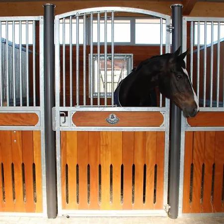 Domaine Equestre De La Chenaie