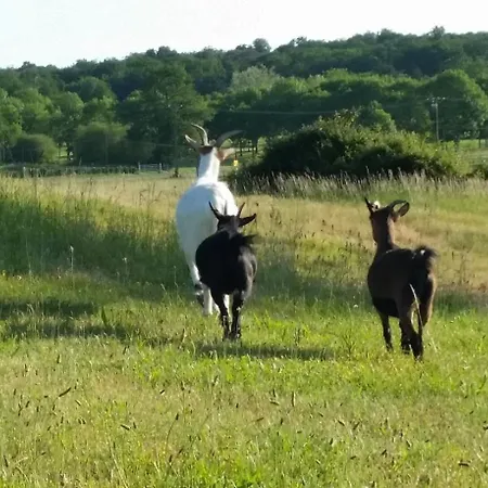 Domaine Equestre De La Chenaie *