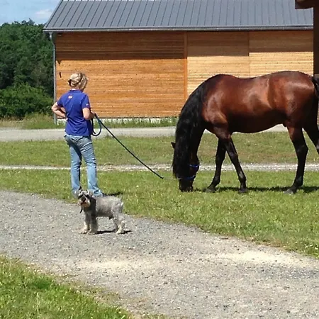 Domaine Equestre De La Chenaie * Saumur