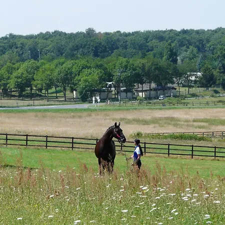 Domaine Equestre De La Chenaie