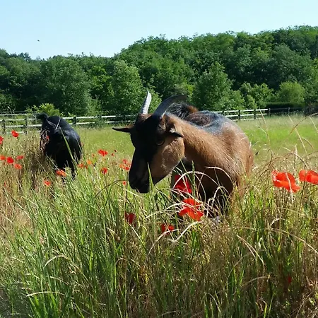 Domaine Equestre De La Chenaie Apartman