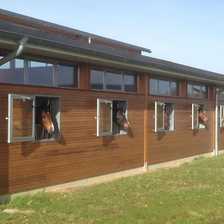 Domaine Equestre De La Chenaie Saumur