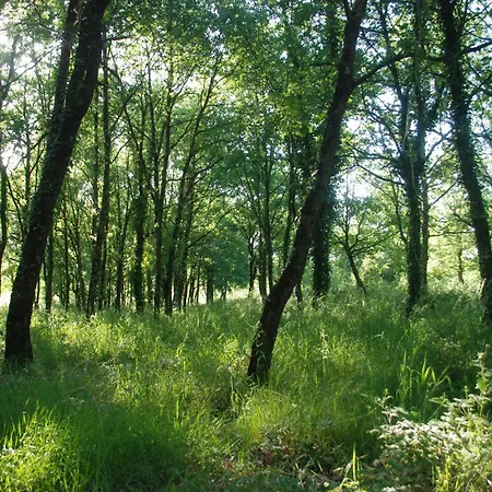 Domaine Equestre De La Chenaie Daire *