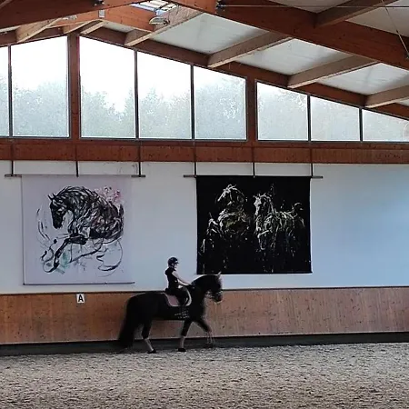 Domaine Equestre De La Chenaie Apartament *