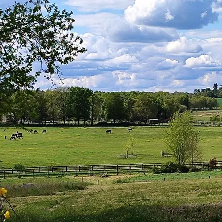 Domaine Equestre De La Chenaie *