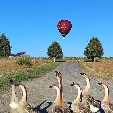 Domaine Equestre De La Chenaie *