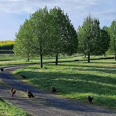 Lejlighed Domaine Equestre De La Chenaie *