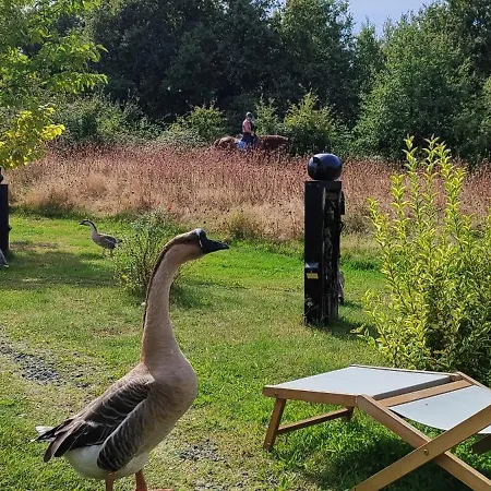 Domaine Equestre De La Chenaie ソミュール