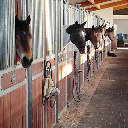 شقة Domaine Equestre De La Chenaie