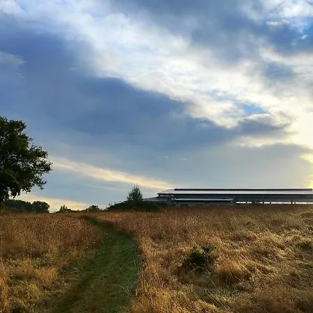 Domaine Equestre De La Chenaie Saumur