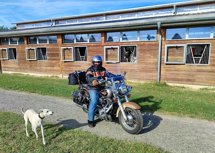 Domaine Equestre De La Chenaie Apartment *