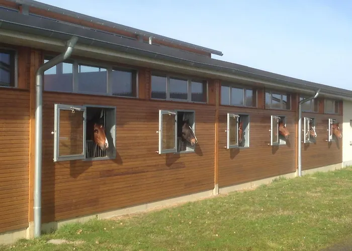 Domaine Equestre De La Chenaie Saumur